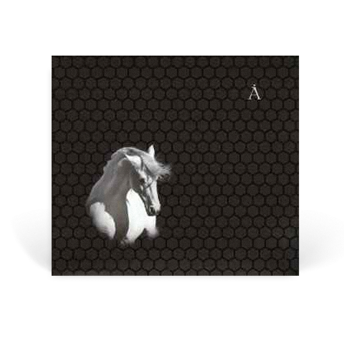 Компакт диск CD: Аквариум &mdash; &laquo;Лошадь белая&raquo; (2008)