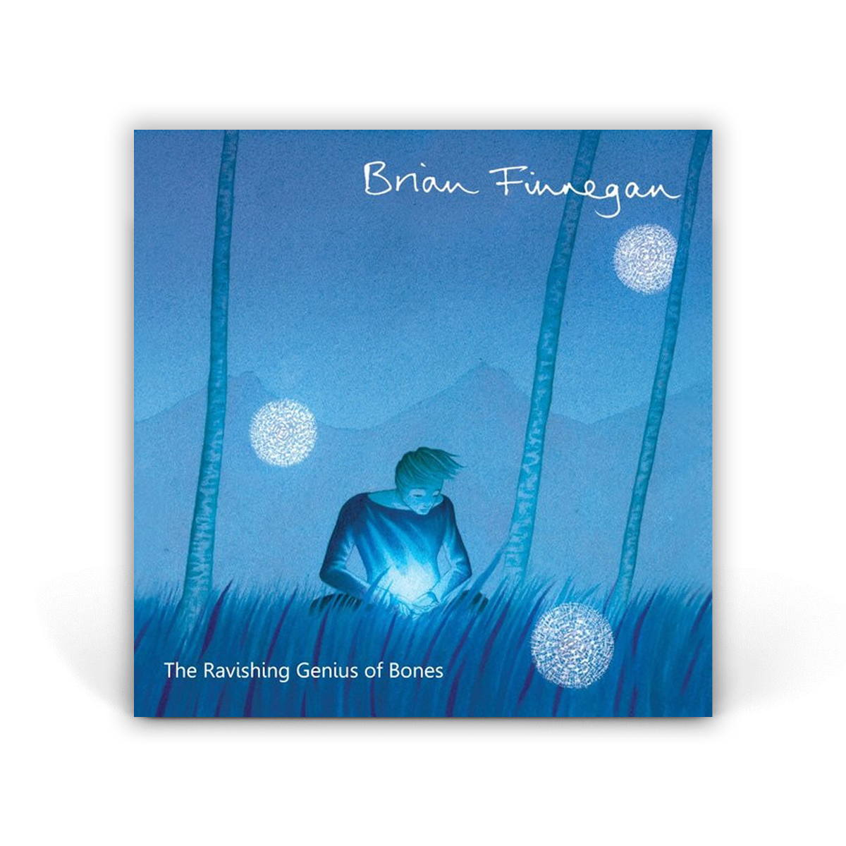 Компакт диск СD: Brian Finnegan ‎– The Ravishing Genius Of Bones (2010)